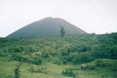 Guatemala San Vicente Pacaya microlot